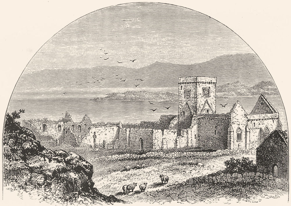 SCOTLAND. Iona c1886 old antique vintage print picture